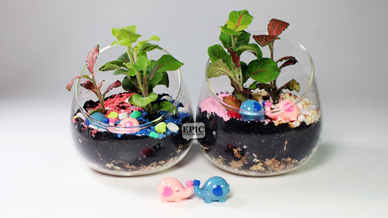 BYOP_EPIC_Terrarium_Angled_Open