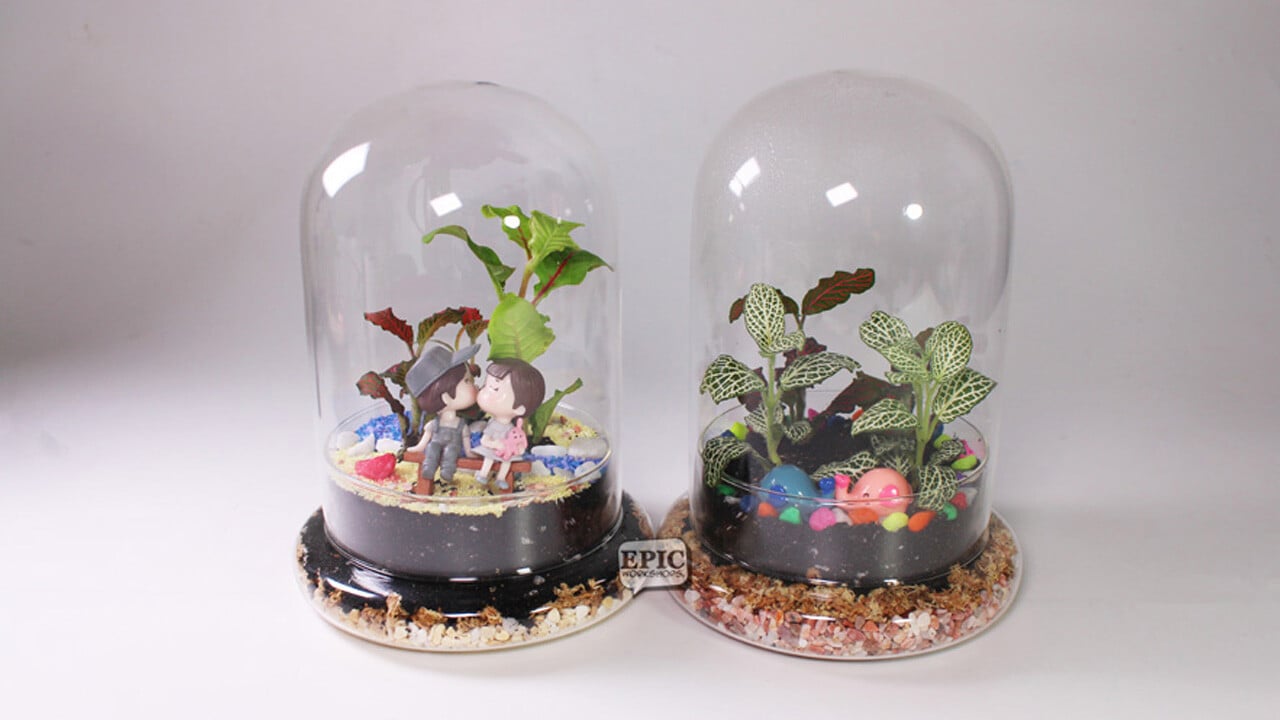 BYOP_EPIC_Terrarium_Bell_Dome