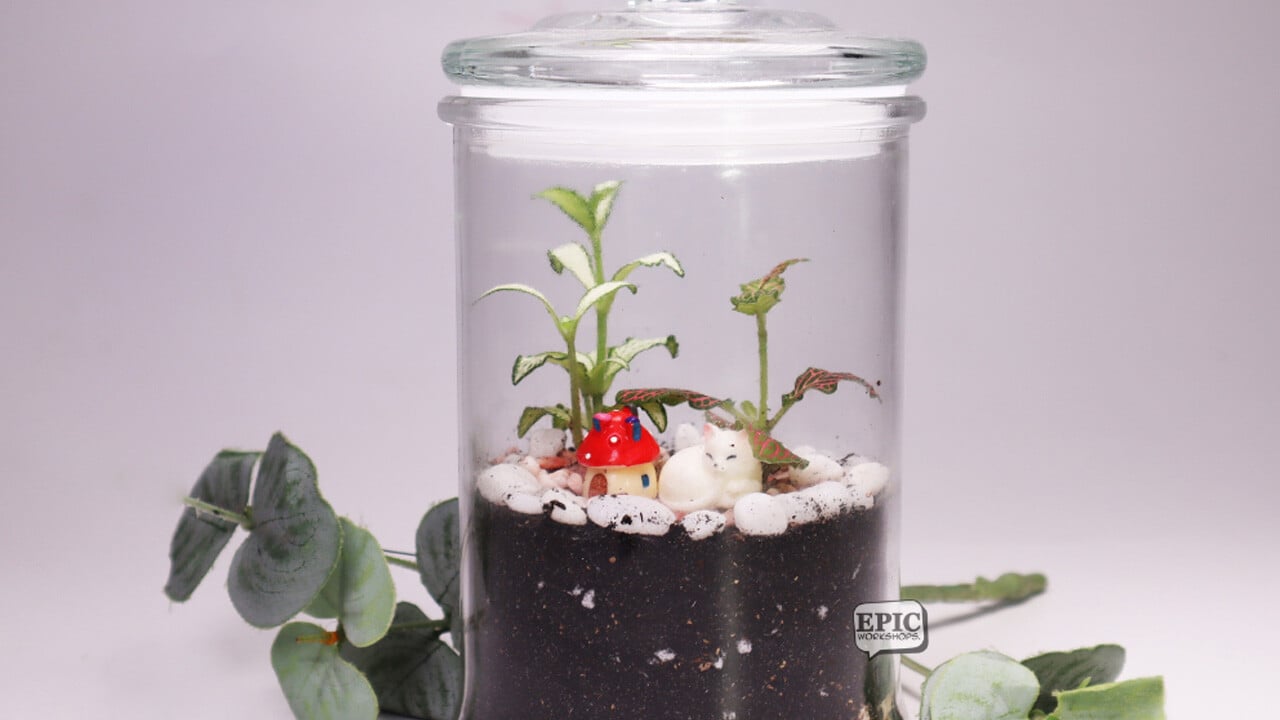 BYOP_EPIC_Terrarium_Closed
