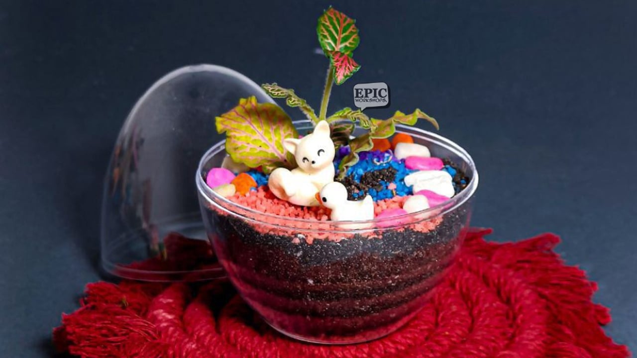 BYOP_EPIC_Terrarium_Plastic_Egg