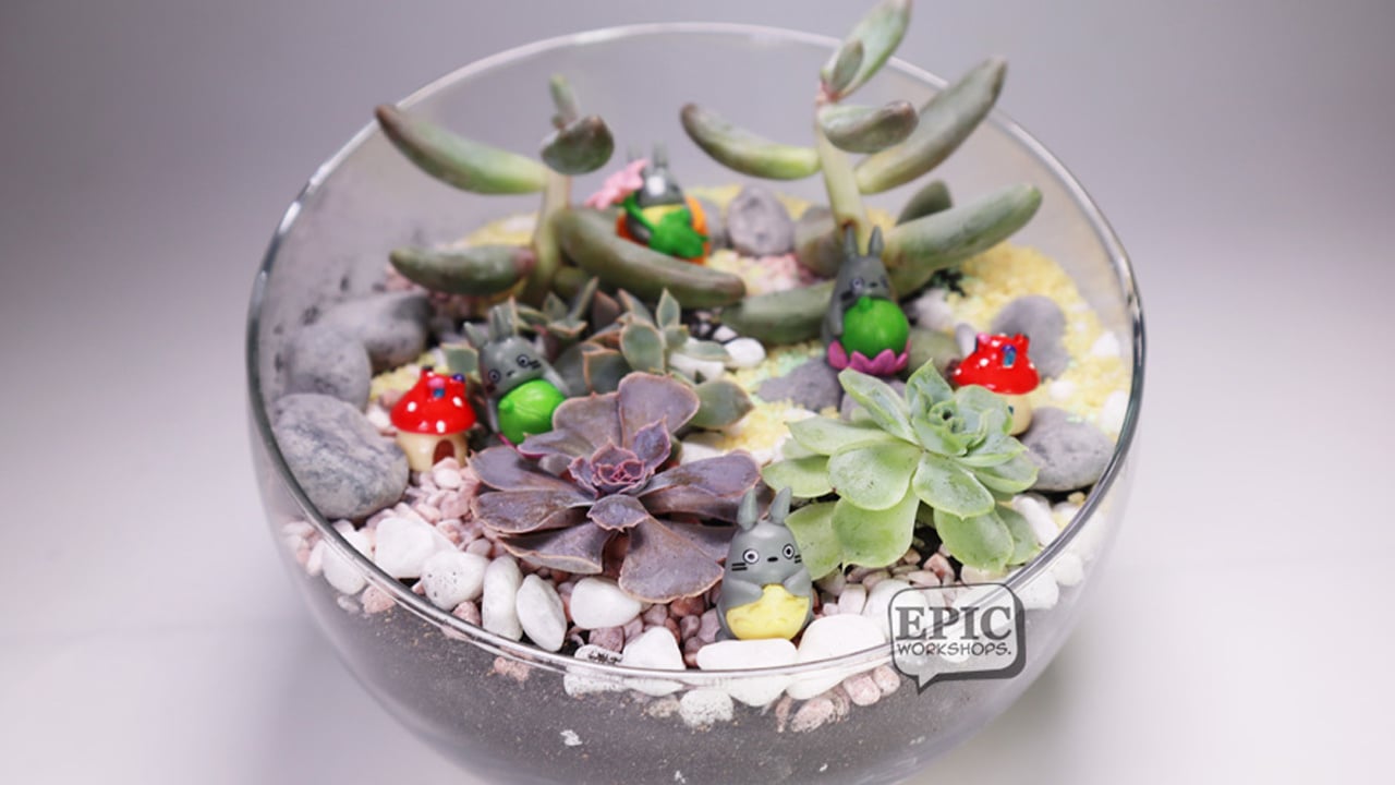 BYOP_EPIC_Terrarium_Scculent