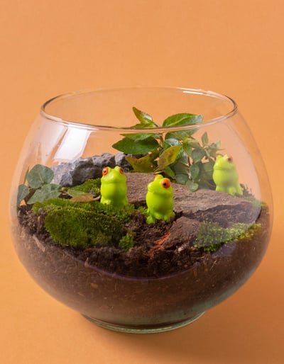 BYOP_Terrarium_A