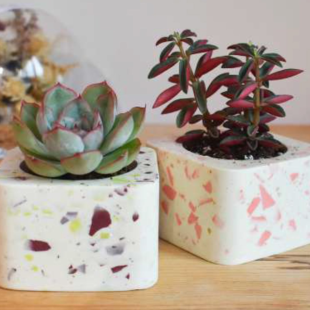 Offline_Workshop_Jesomite_Planter