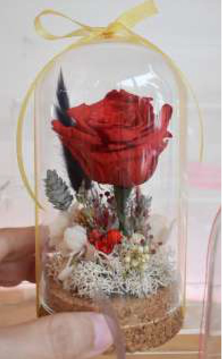 Offline_Workshop_Small_Dome_Preserved_Rose