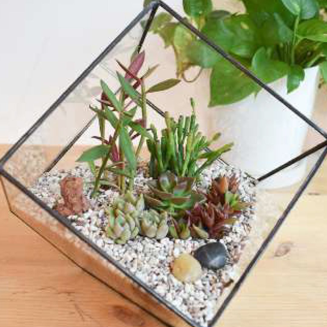 Offline_Workshop_Terrarium_Cube
