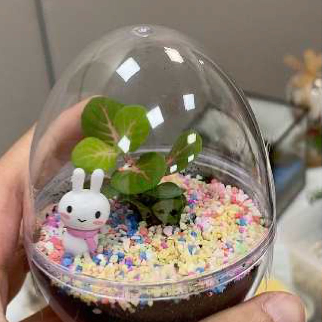 Offline_Workshop_Terrarium_Egg