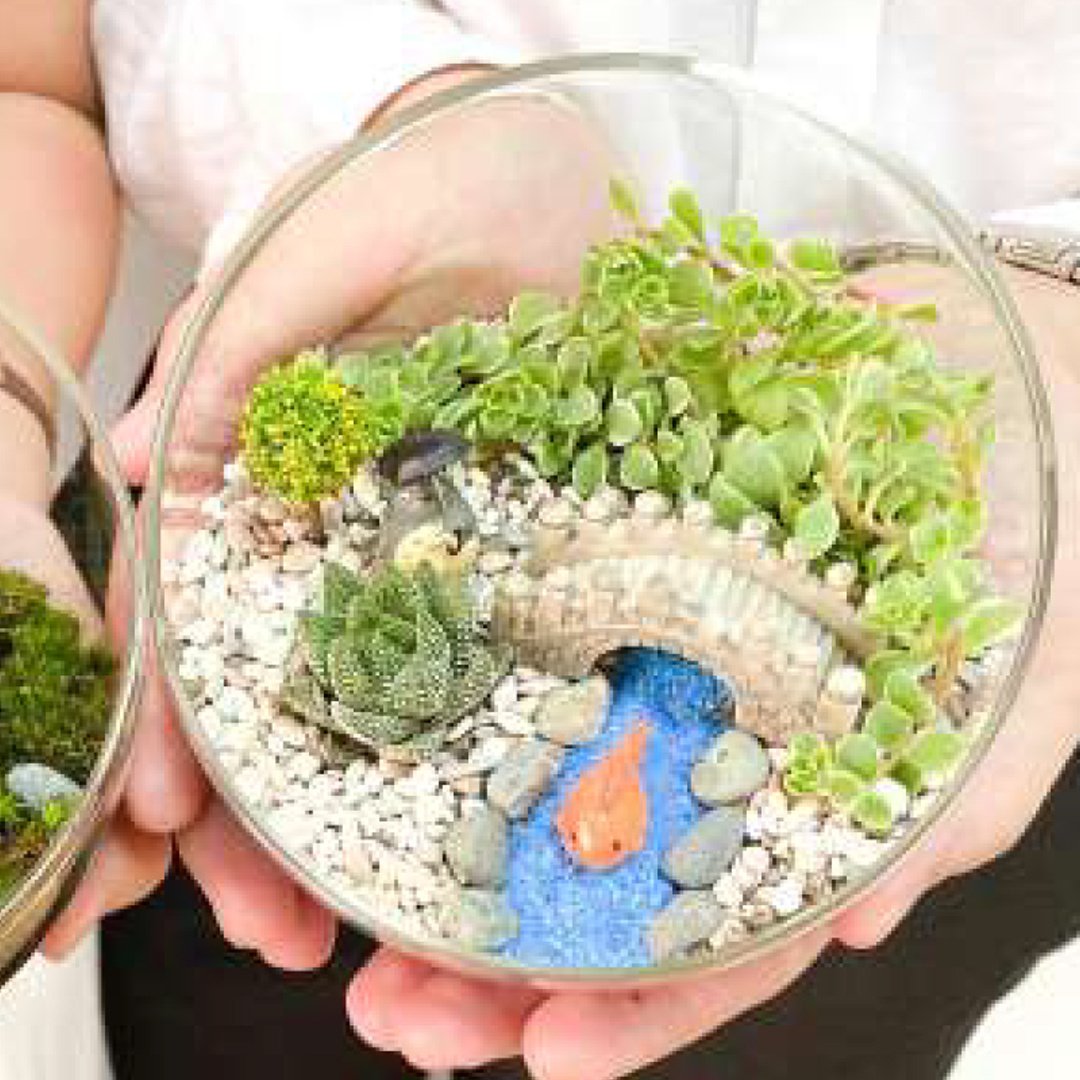 Offline_Workshop_Terrarium_Scculent