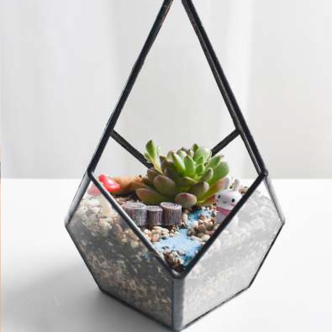 Offline_Workshop_Terrarium_Teardrop