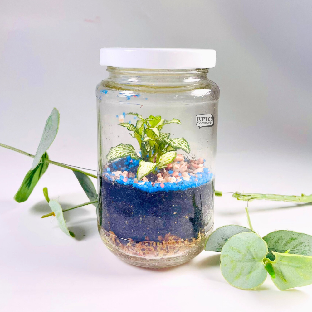 EPIC_Upcycling_Jam_Jar_Terrarium