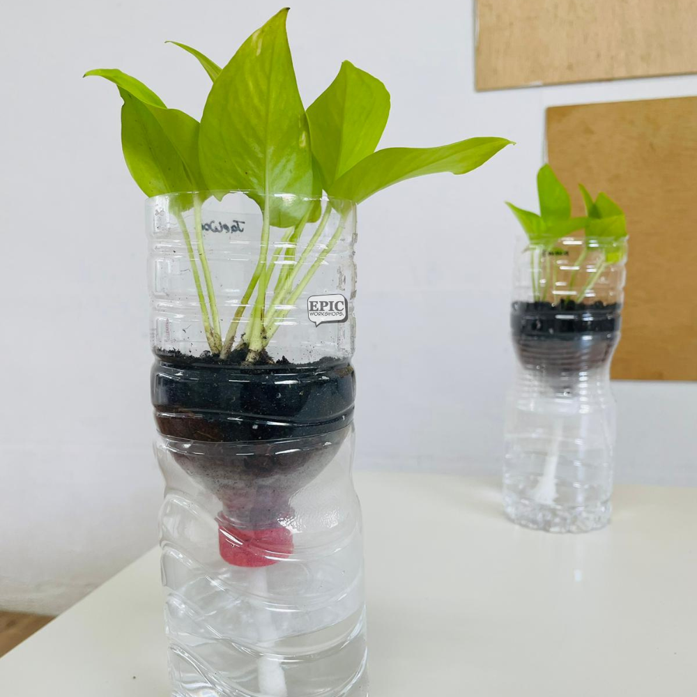 Upcycling Self Watering Planter